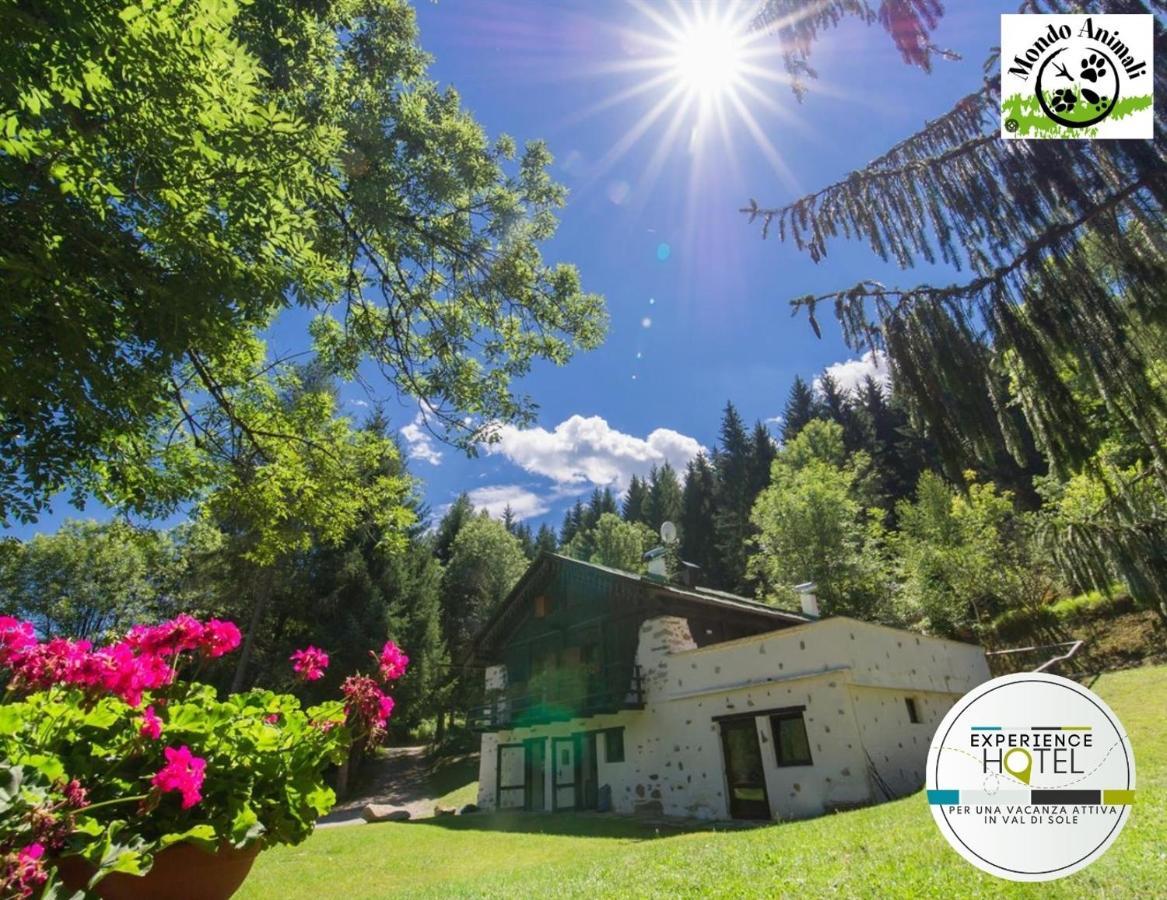 La Locanda Delle Pulci Bio Welness Mezzana  Kültér fotó