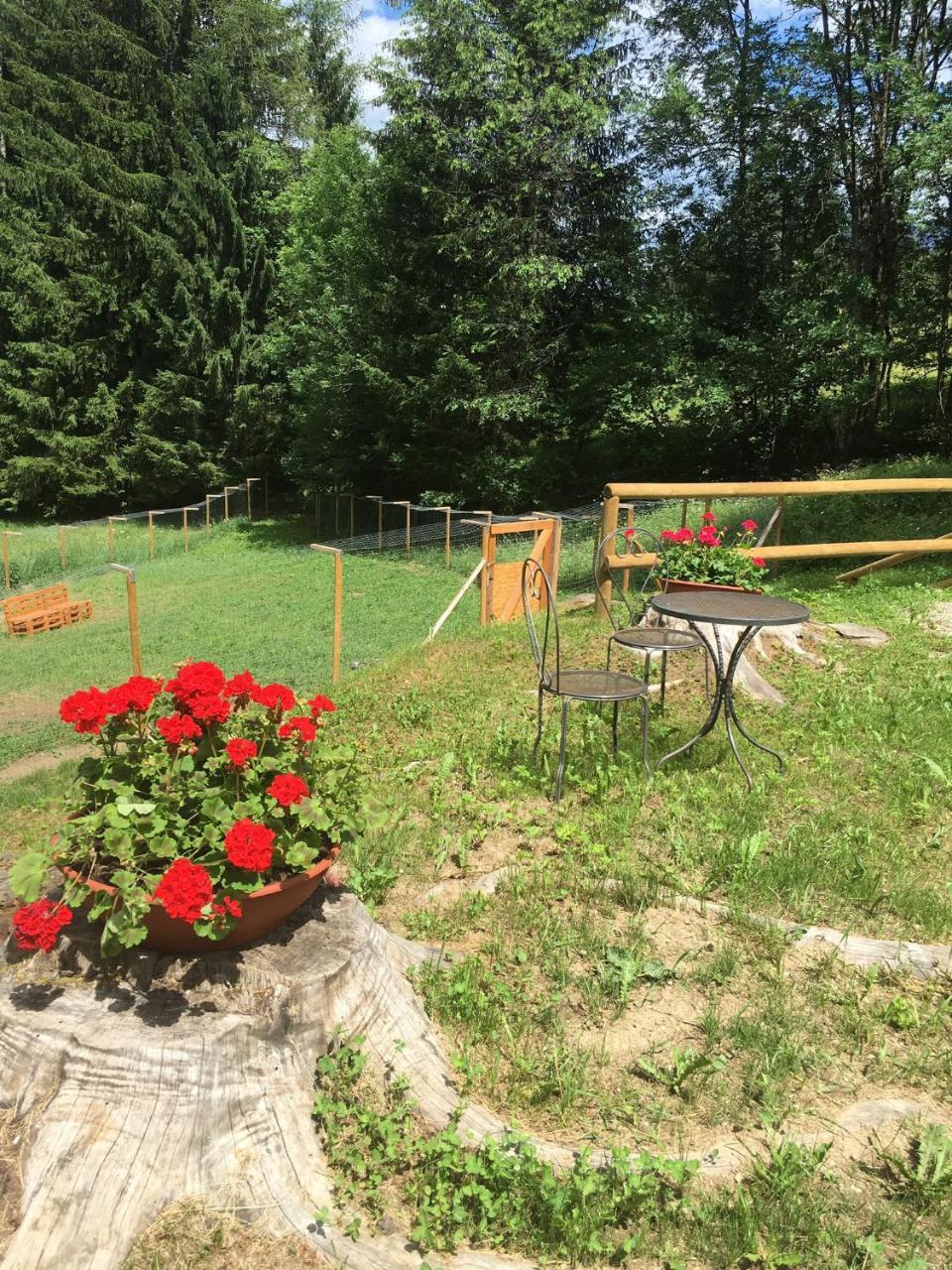 La Locanda Delle Pulci Bio Welness Mezzana  Kültér fotó