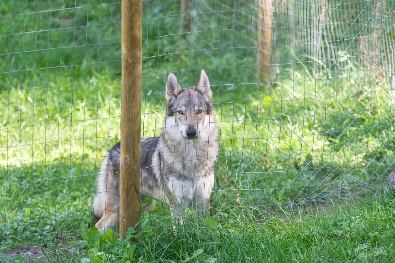 La Locanda Delle Pulci Bio Welness Mezzana  Kültér fotó