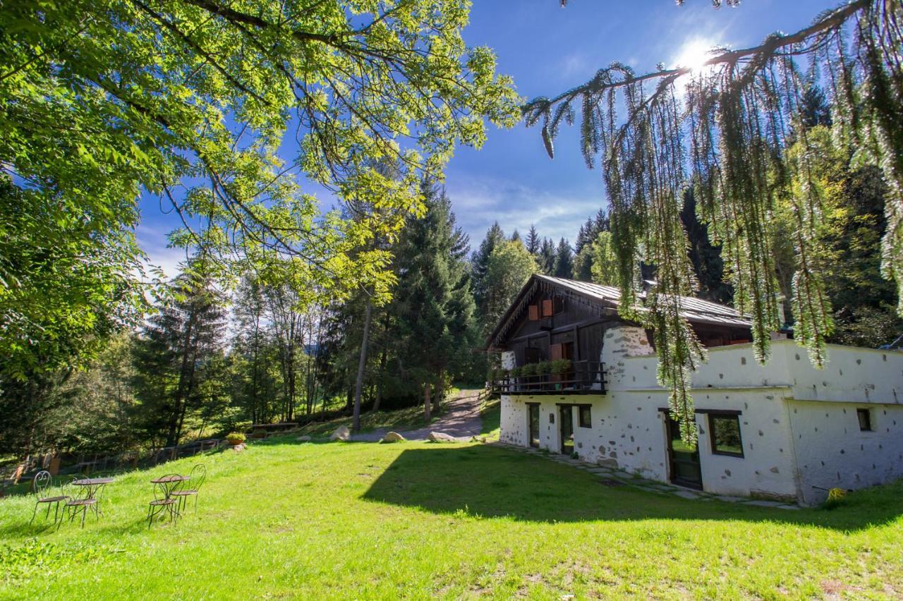 La Locanda Delle Pulci Bio Welness Mezzana  Kültér fotó